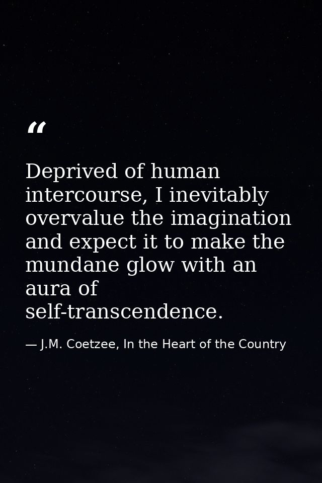 Deprived of human intercourse, I inevitably overvalue the imagination and expect it to make the mundane glow with an aur — J.M. Coetzee, In the Heart of the Country