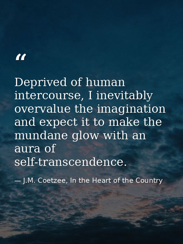 Deprived of human intercourse, I inevitably overvalue the imagination and expect it to make the mundane glow with an aur — J.M. Coetzee, In the Heart of the Country