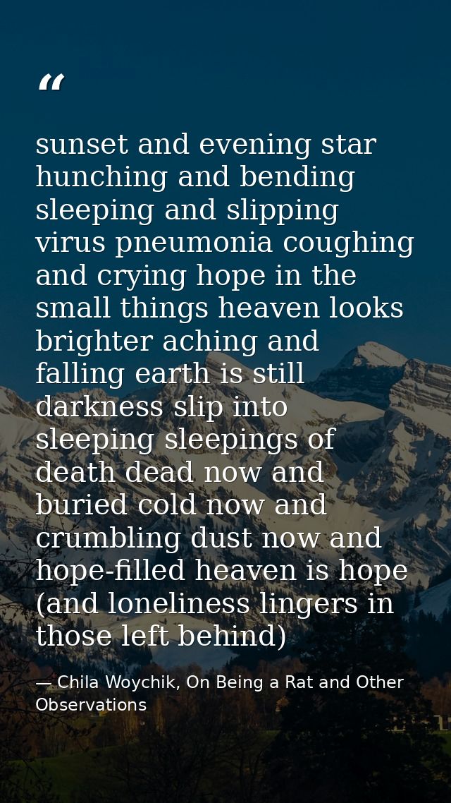 sunset and evening star hunching and bending sleeping and slipping virus pneumonia coughing and crying hope in the small — Chila Woychik, On Being a Rat and Other Observations
