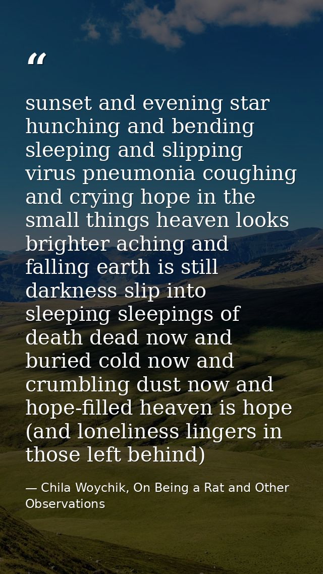 sunset and evening star hunching and bending sleeping and slipping virus pneumonia coughing and crying hope in the small — Chila Woychik, On Being a Rat and Other Observations