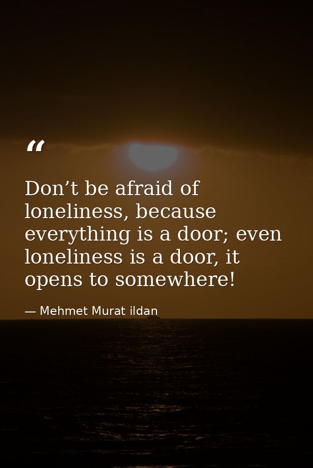 Don’t be afraid of loneliness, because everything is a door; even loneliness is a door, it opens to somewhere! — Mehmet Murat ildan