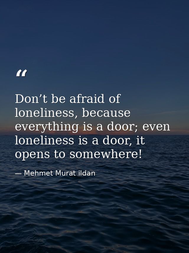 Don’t be afraid of loneliness, because everything is a door; even loneliness is a door, it opens to somewhere! — Mehmet Murat ildan
