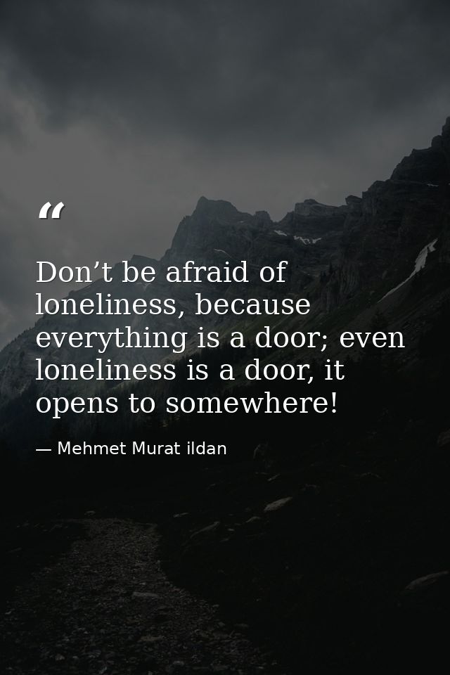 Don’t be afraid of loneliness, because everything is a door; even loneliness is a door, it opens to somewhere! — Mehmet Murat ildan