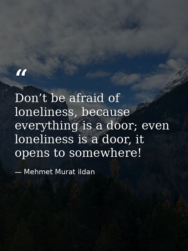 Don’t be afraid of loneliness, because everything is a door; even loneliness is a door, it opens to somewhere! — Mehmet Murat ildan