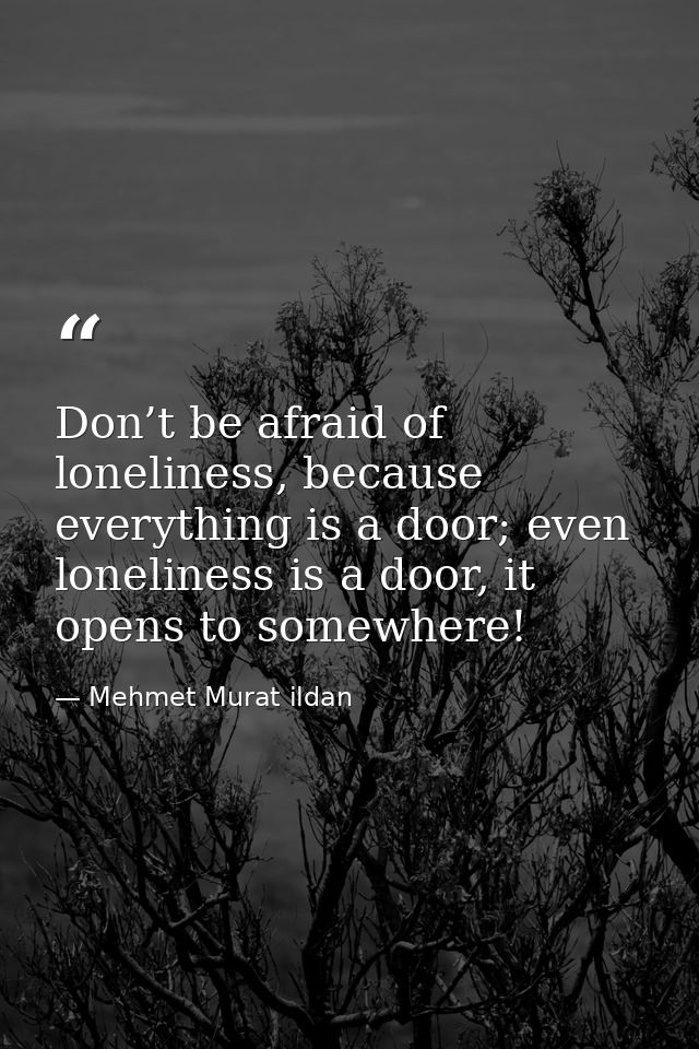 Don’t be afraid of loneliness, because everything is a door; even loneliness is a door, it opens to somewhere! — Mehmet Murat ildan