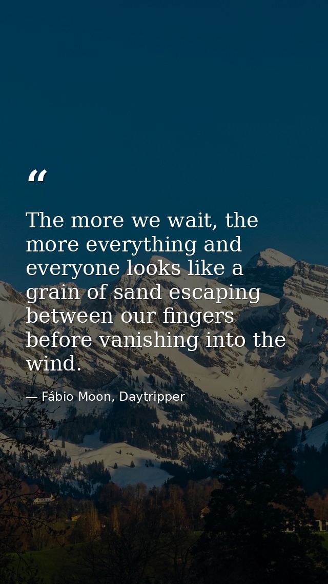 The more we wait, the more everything and everyone looks like a grain of sand escaping between our fingers before vanish — Fábio Moon, Daytripper