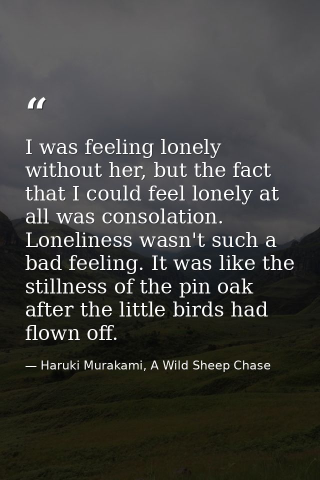 I was feeling lonely without her, but the fact that I could feel lonely at all was consolation. Loneliness wasn't such a — Haruki Murakami, A Wild Sheep Chase