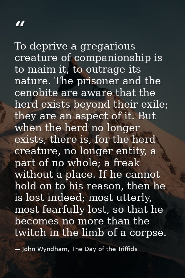 To deprive a gregarious creature of companionship is to maim it, to outrage its nature. The prisoner and the cenobite ar — John Wyndham, The Day of the Triffids
