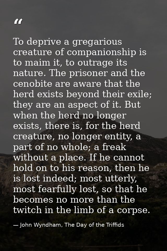 To deprive a gregarious creature of companionship is to maim it, to outrage its nature. The prisoner and the cenobite ar — John Wyndham, The Day of the Triffids