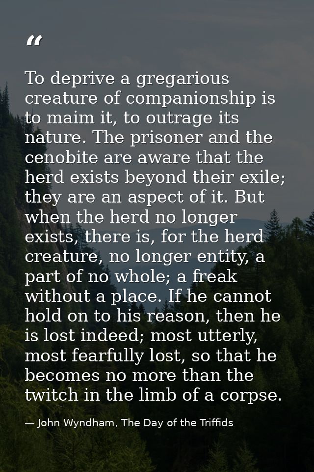 To deprive a gregarious creature of companionship is to maim it, to outrage its nature. The prisoner and the cenobite ar — John Wyndham, The Day of the Triffids
