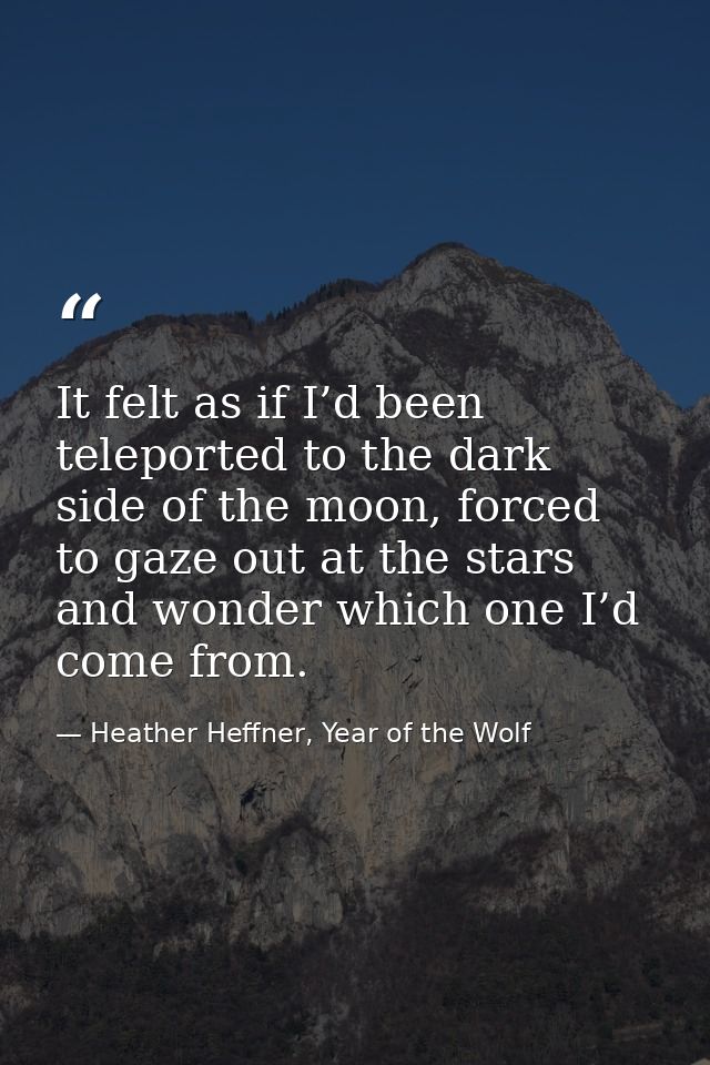 It felt as if I’d been teleported to the dark side of the moon, forced to gaze out at the stars and wonder which one I’d — Heather Heffner, Year of the Wolf