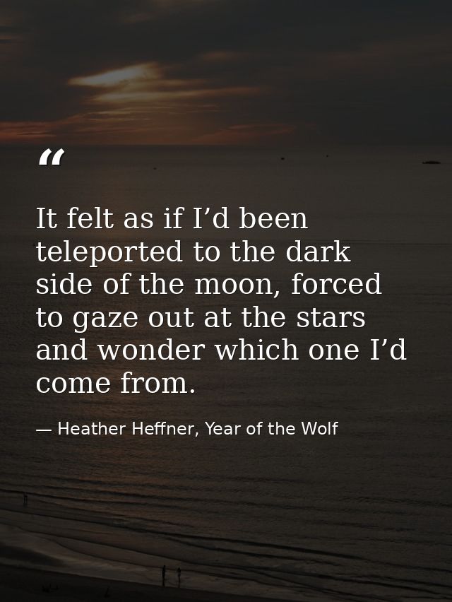 It felt as if I’d been teleported to the dark side of the moon, forced to gaze out at the stars and wonder which one I’d — Heather Heffner, Year of the Wolf