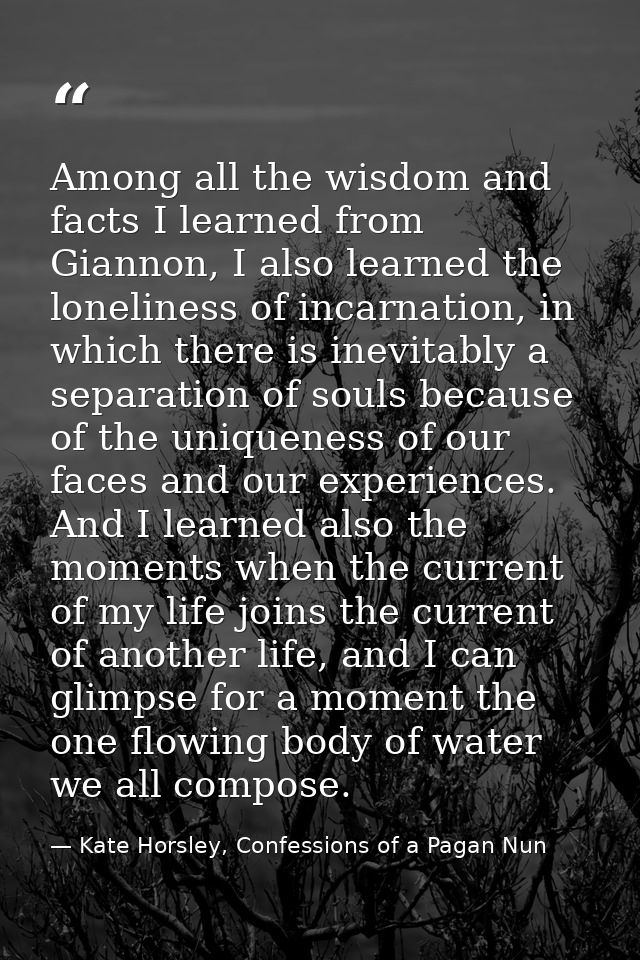 Among all the wisdom and facts I learned from Giannon, I also learned the loneliness of incarnation, in which there is i — Kate Horsley, Confessions of a Pagan Nun