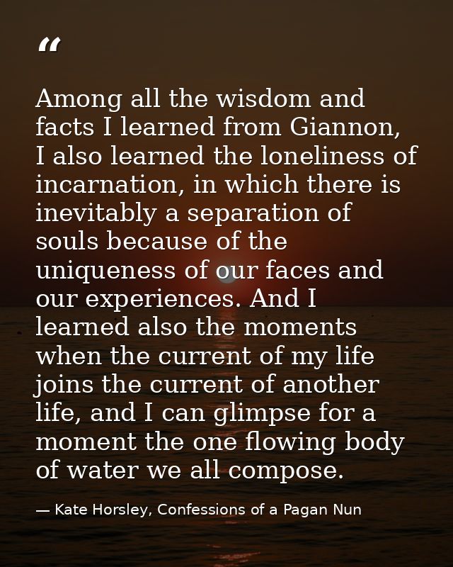 Among all the wisdom and facts I learned from Giannon, I also learned the loneliness of incarnation, in which there is i — Kate Horsley, Confessions of a Pagan Nun
