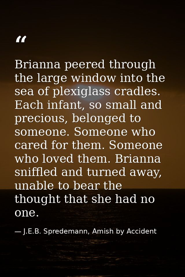 Brianna peered through the large window into the sea of plexiglass cradles. Each infant, so small and precious, belonged — J.E.B. Spredemann, Amish by Accident