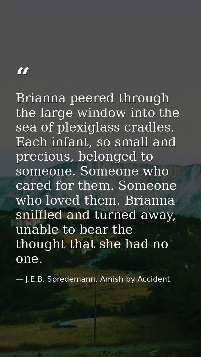 Brianna peered through the large window into the sea of plexiglass cradles. Each infant, so small and precious, belonged — J.E.B. Spredemann, Amish by Accident