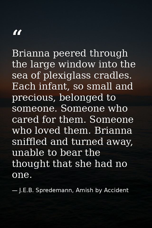 Brianna peered through the large window into the sea of plexiglass cradles. Each infant, so small and precious, belonged — J.E.B. Spredemann, Amish by Accident