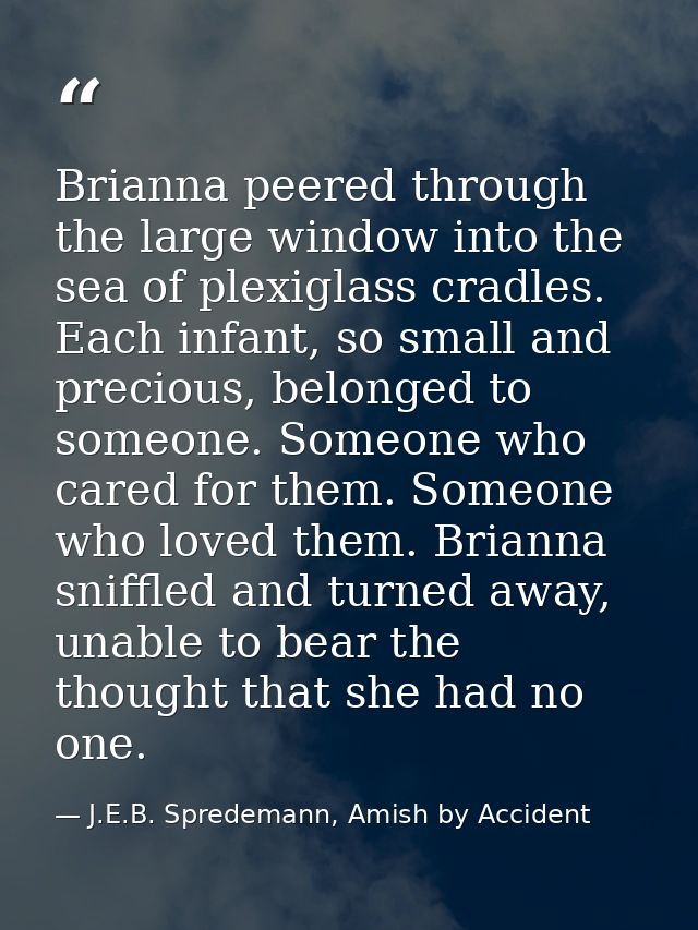 Brianna peered through the large window into the sea of plexiglass cradles. Each infant, so small and precious, belonged — J.E.B. Spredemann, Amish by Accident