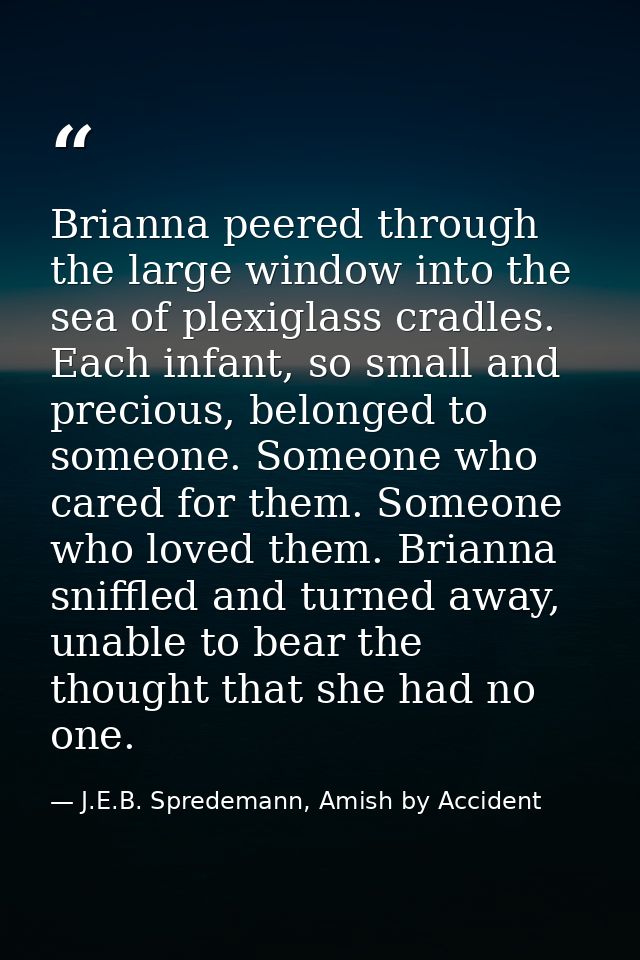 Brianna peered through the large window into the sea of plexiglass cradles. Each infant, so small and precious, belonged — J.E.B. Spredemann, Amish by Accident
