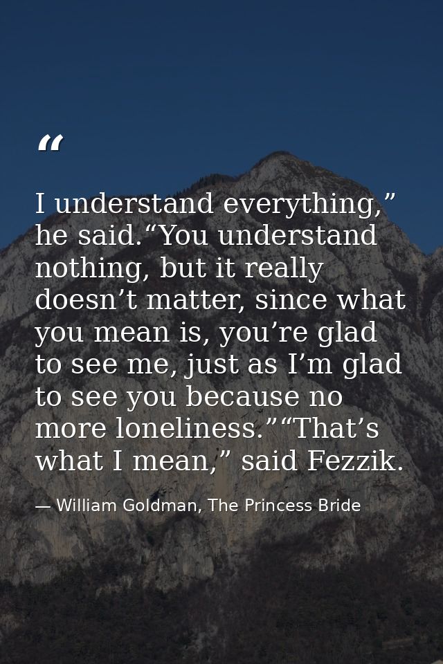 I understand everything,” he said.“You understand nothing, but it really doesn’t matter, since what you mean is, you’re  — William Goldman, The Princess Bride