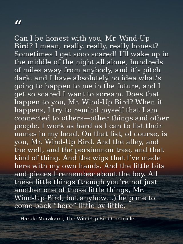 Can I be honest with you, Mr. Wind-Up Bird? I mean, really, really, really honest? Sometimes I get sooo scared! I’ll wak — Haruki Murakami, The Wind-Up Bird Chronicle