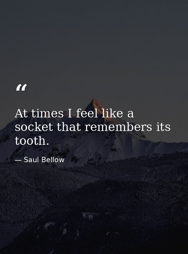 At times I feel like a socket that remembers its tooth. — Saul Bellow