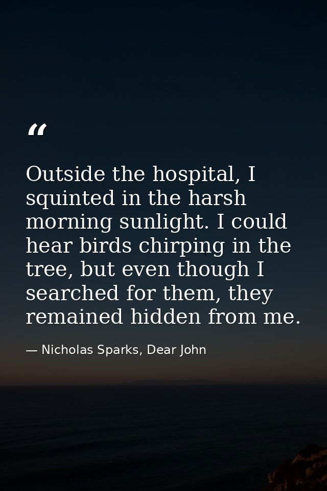 Outside the hospital, I squinted in the harsh morning sunlight. I could hear birds chirping in the tree, but even though — Nicholas Sparks, Dear John