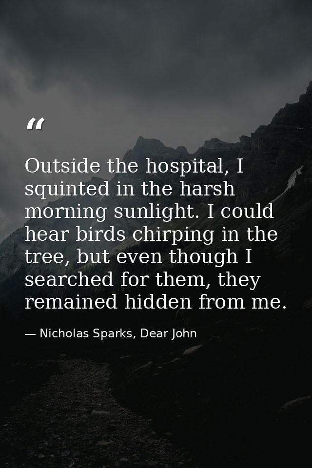 Outside the hospital, I squinted in the harsh morning sunlight. I could hear birds chirping in the tree, but even though — Nicholas Sparks, Dear John