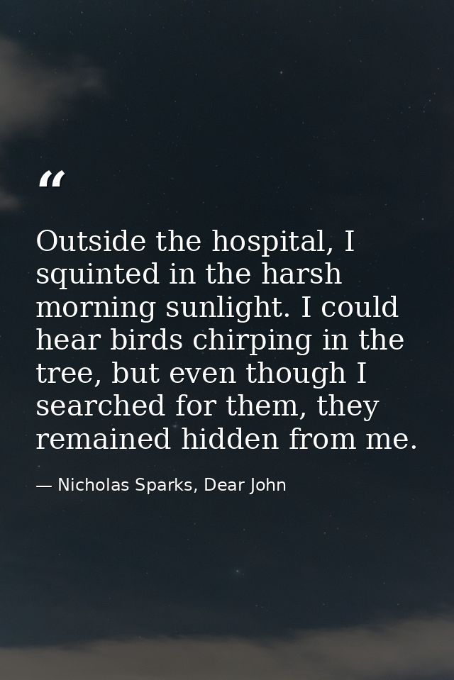 Outside the hospital, I squinted in the harsh morning sunlight. I could hear birds chirping in the tree, but even though — Nicholas Sparks, Dear John