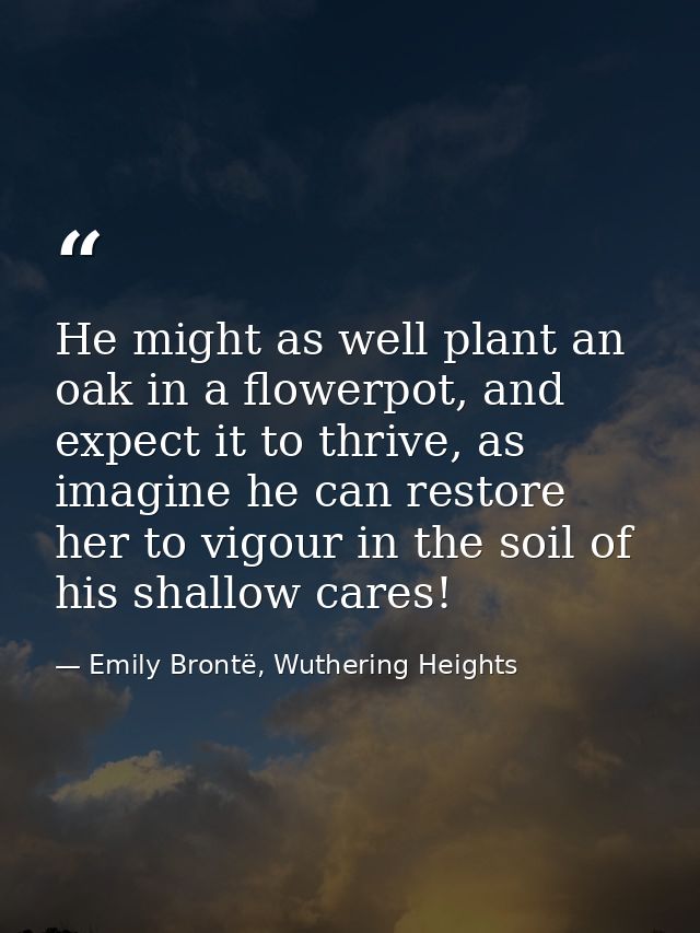 He might as well plant an oak in a flowerpot, and expect it to thrive, as imagine he can restore her to vigour in the so — Emily Brontë, Wuthering Heights