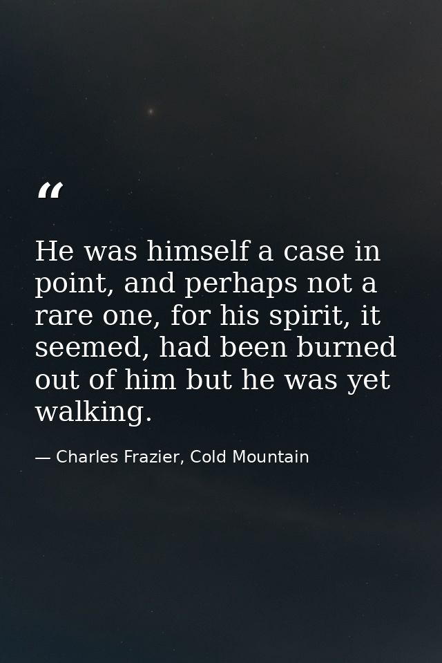 He was himself a case in point, and perhaps not a rare one, for his spirit, it seemed, had been burned out of him but he — Charles Frazier, Cold Mountain