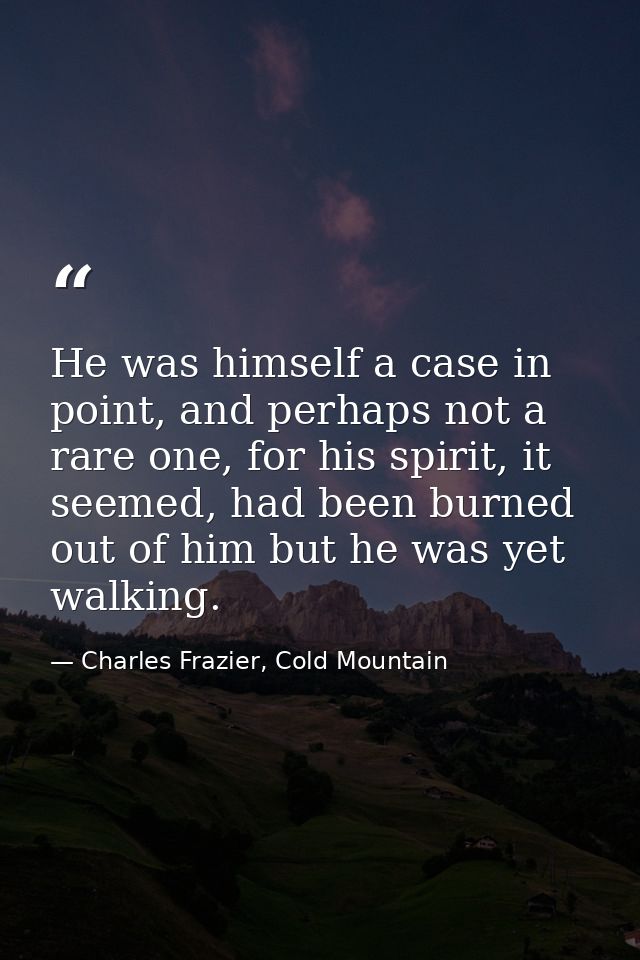He was himself a case in point, and perhaps not a rare one, for his spirit, it seemed, had been burned out of him but he — Charles Frazier, Cold Mountain