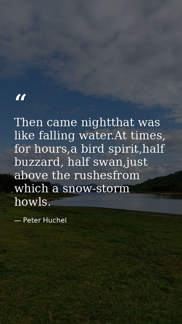 Then came nightthat was like falling water.At times, for hours,a bird spirit,half buzzard, half swan,just above the rush — Peter Huchel