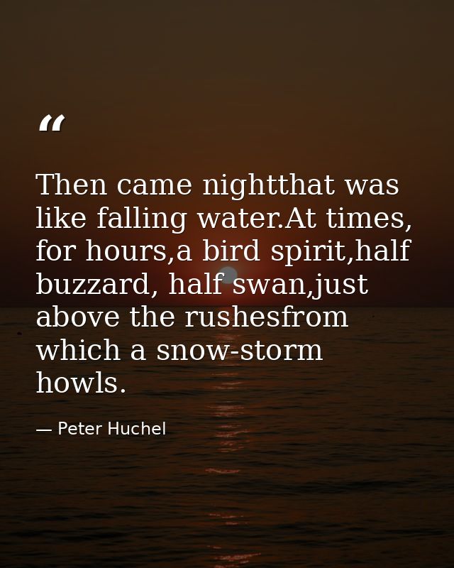 Then came nightthat was like falling water.At times, for hours,a bird spirit,half buzzard, half swan,just above the rush — Peter Huchel