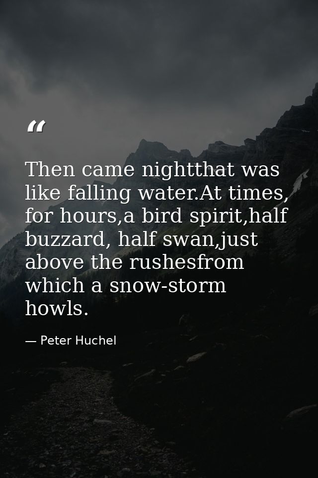 Then came nightthat was like falling water.At times, for hours,a bird spirit,half buzzard, half swan,just above the rush — Peter Huchel