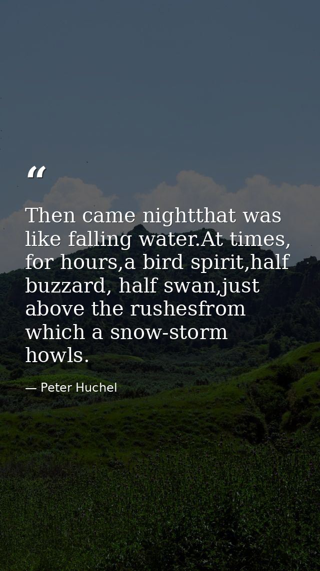 Then came nightthat was like falling water.At times, for hours,a bird spirit,half buzzard, half swan,just above the rush — Peter Huchel