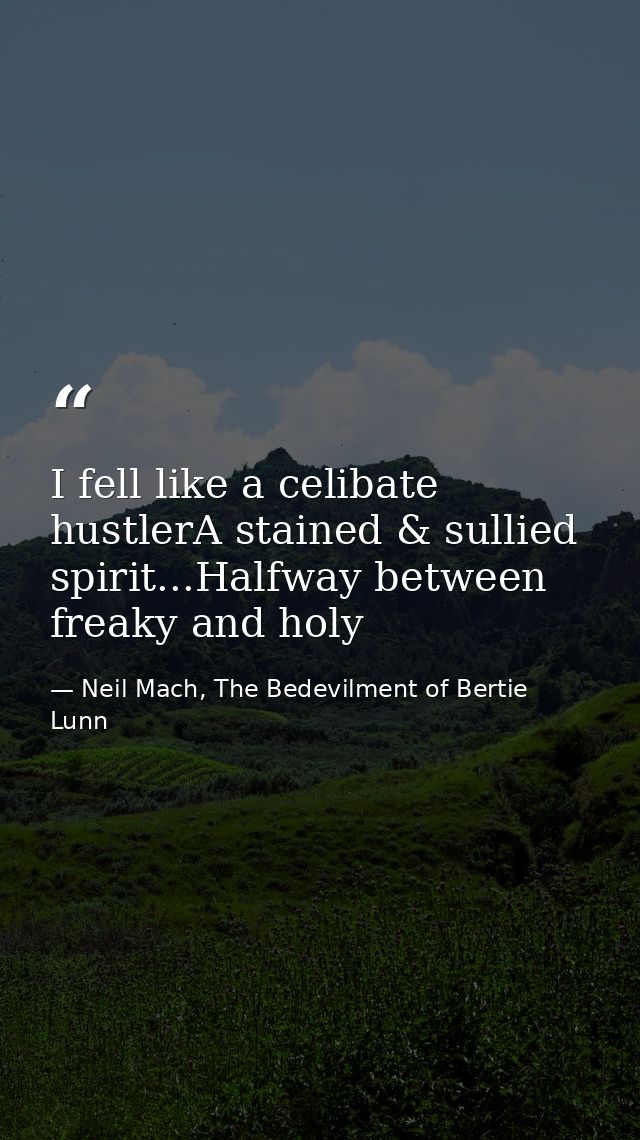 I fell like a celibate hustlerA stained & sullied spirit...Halfway between freaky and holy — Neil Mach, The Bedevilment of Bertie Lunn