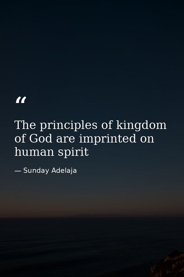 The principles of kingdom of God are imprinted on human spirit — Sunday Adelaja