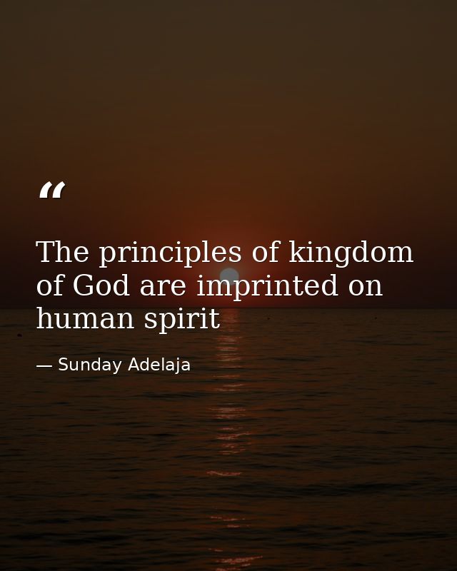 The principles of kingdom of God are imprinted on human spirit — Sunday Adelaja