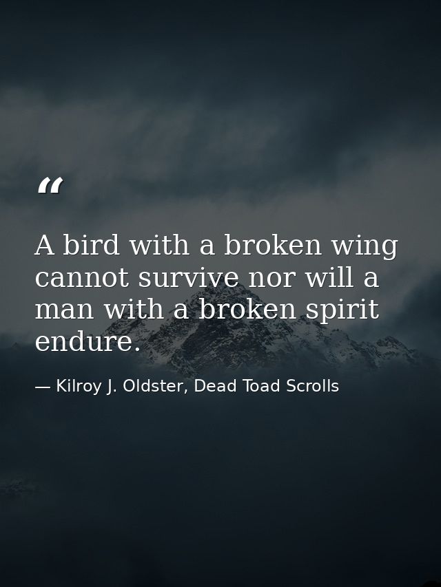 A bird with a broken wing cannot survive nor will a man with a broken spirit endure. — Kilroy J. Oldster, Dead Toad Scrolls