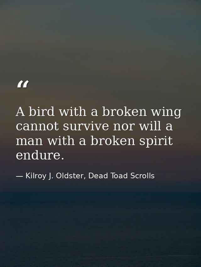 A bird with a broken wing cannot survive nor will a man with a broken spirit endure. — Kilroy J. Oldster, Dead Toad Scrolls