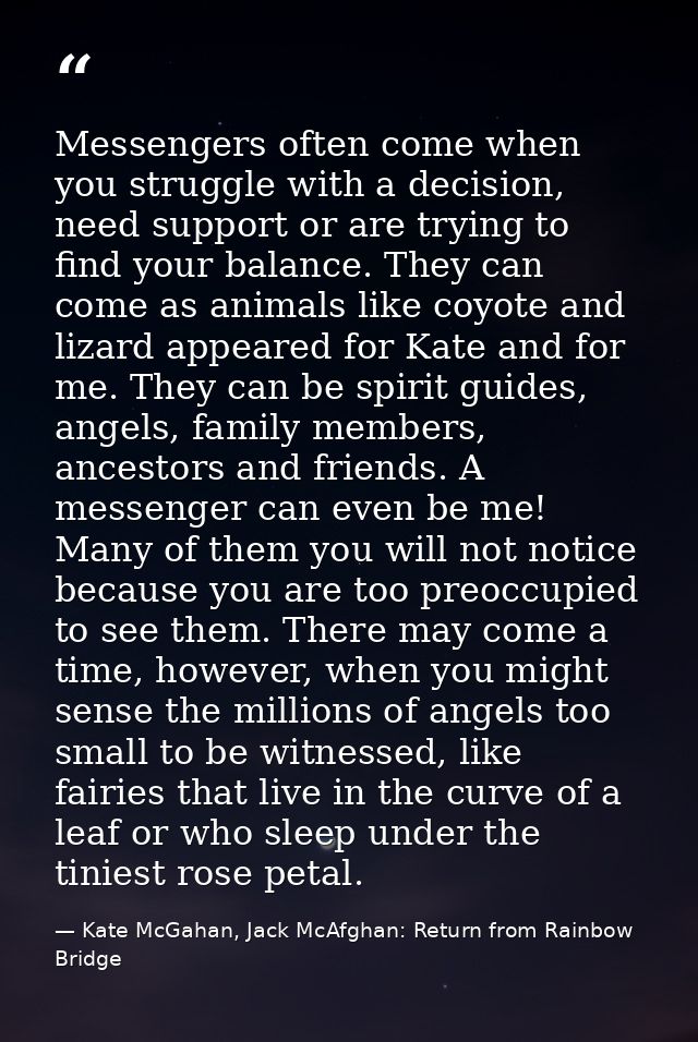Messengers often come when you struggle with a decision, need support or are trying to find your balance. They can come  — Kate McGahan, Jack McAfghan: Return from Rainbow Bridge