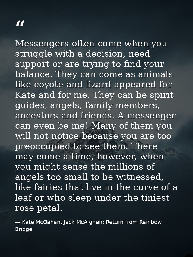 Messengers often come when you struggle with a decision, need support or are trying to find your balance. They can come  — Kate McGahan, Jack McAfghan: Return from Rainbow Bridge