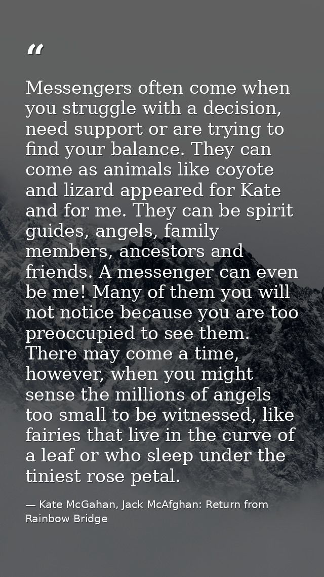 Messengers often come when you struggle with a decision, need support or are trying to find your balance. They can come  — Kate McGahan, Jack McAfghan: Return from Rainbow Bridge