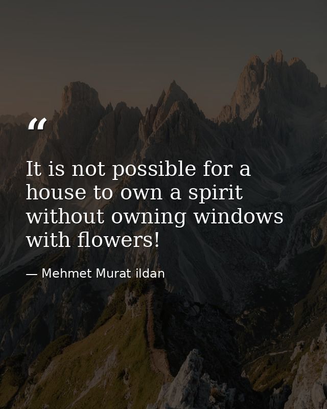 It is not possible for a house to own a spirit without owning windows with flowers! — Mehmet Murat ildan