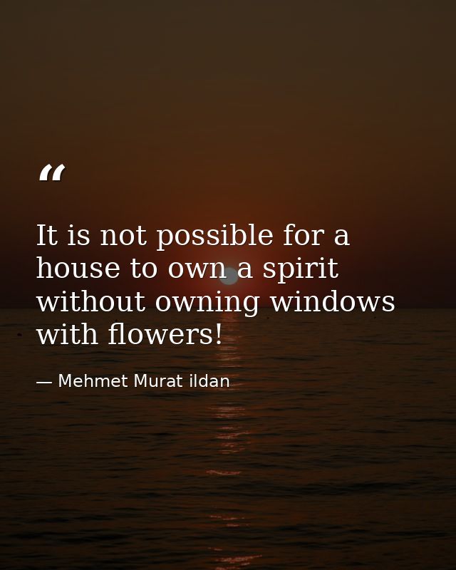 It is not possible for a house to own a spirit without owning windows with flowers! — Mehmet Murat ildan