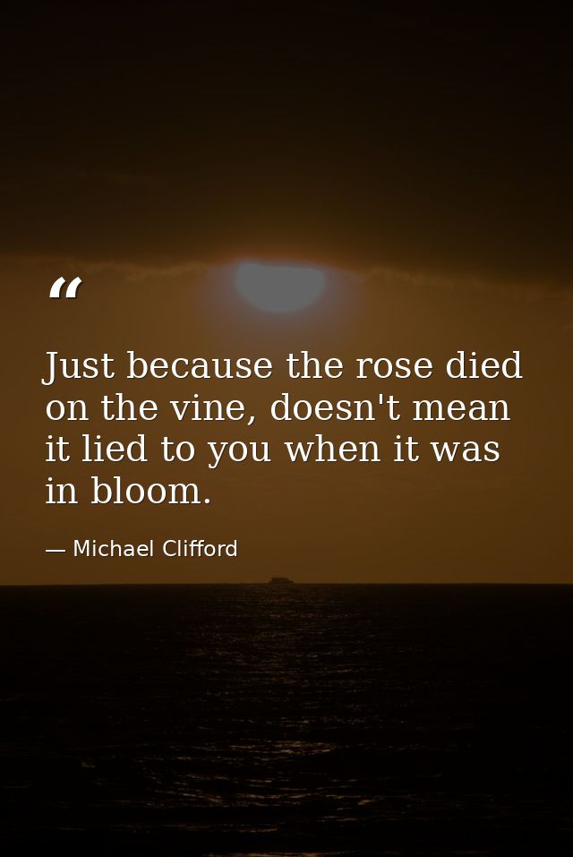 Just because the rose died on the vine, doesn't mean it lied to you when it was in bloom. — Michael Clifford