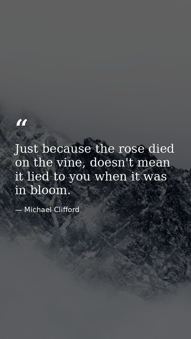 Just because the rose died on the vine, doesn't mean it lied to you when it was in bloom. — Michael Clifford