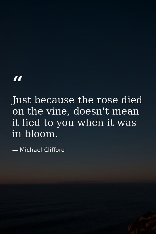 Just because the rose died on the vine, doesn't mean it lied to you when it was in bloom. — Michael Clifford