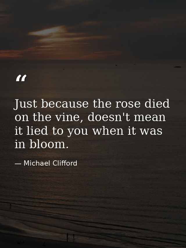 Just because the rose died on the vine, doesn't mean it lied to you when it was in bloom. — Michael Clifford
